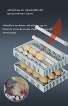 Load image into Gallery viewer, ORBIT 24/50 EGG INCUBATOR FULLY AUTOMATIC