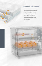 Load image into Gallery viewer, ORBIT 24/50 EGG INCUBATOR FULLY AUTOMATIC