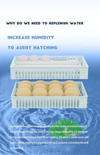 Load image into Gallery viewer, ORBIT 24/50 EGG INCUBATOR FULLY AUTOMATIC