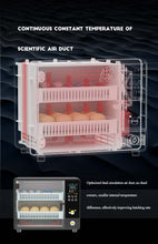 Load image into Gallery viewer, ORBIT 24/50 EGG INCUBATOR FULLY AUTOMATIC