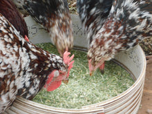 Load image into Gallery viewer, 2kg Organic Lucerne (Alfalfa) chaff Rabbit ginea pig chickens ducks feed
