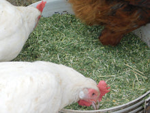 Load image into Gallery viewer, 2kg Organic Lucerne (Alfalfa) chaff Rabbit ginea pig chickens ducks feed