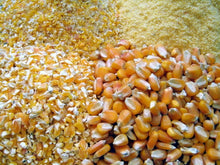 Load image into Gallery viewer, GRINDING RHINO GRAIN CRUSHER