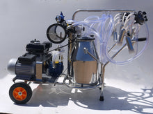 Load image into Gallery viewer, PROFESSIONAL DUAL PORTABLE ELECTRIC/ PETROL MILKING MACHINE- Double bucket