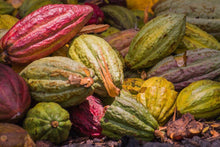 Load image into Gallery viewer, 100% PURE ORGANIC DRINKING BAKING COCOA CACAO- FREE POSTAGE