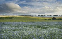 Load image into Gallery viewer, 100% ORGANIC LINSEED FLAX SEEDS PREMIUM QUALITY- FREE POSTAGE