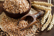 Load image into Gallery viewer, 100% ORGANIC AUSTRALIAN SPELT GRAINS- FREE POSTAGE