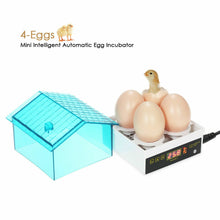 Load image into Gallery viewer, 4 egg mini incubator