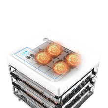 Load image into Gallery viewer, FULLY AUTOMATIC 216/288/360 EGG INCUBATOR & HATCHER