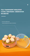 Load image into Gallery viewer, MINI INCUBATOR AUTOMATIC 6 EGGS