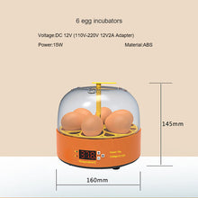 Load image into Gallery viewer, MINI INCUBATOR AUTOMATIC 6 EGGS