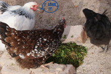 Load image into Gallery viewer, GRASS CUTTER CHOPPER ANIMAL POULTRY FEED