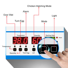 Load image into Gallery viewer, FULLY AUTOMATIC 480/ 560 EGG INCUBATOR & HATCHER