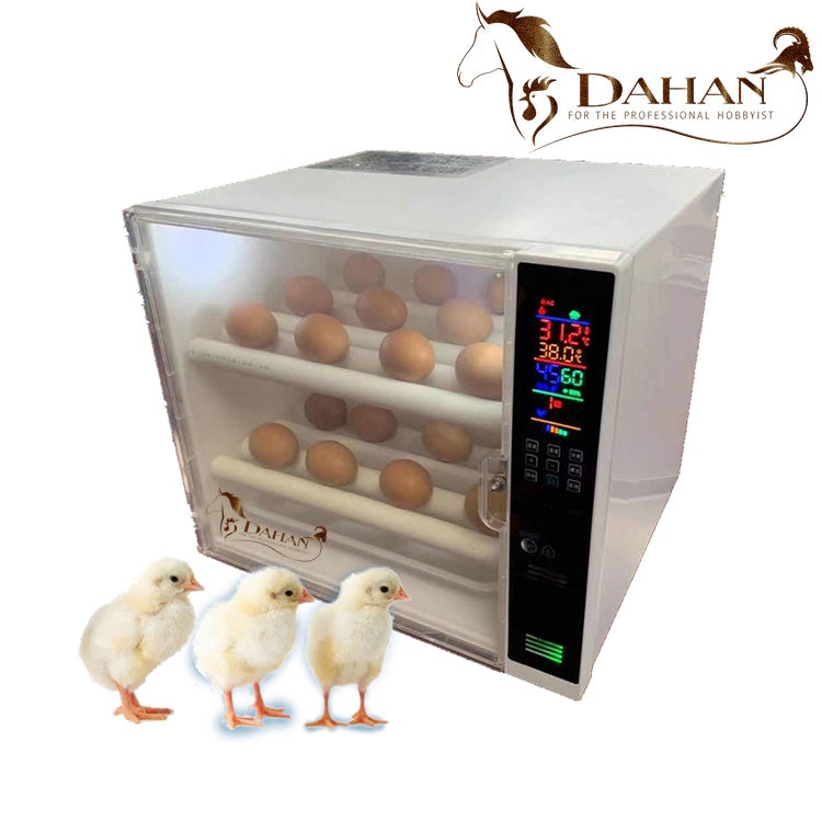 FULLY AUTOMATIC 60 EGG INCUBATOR & HATCHER