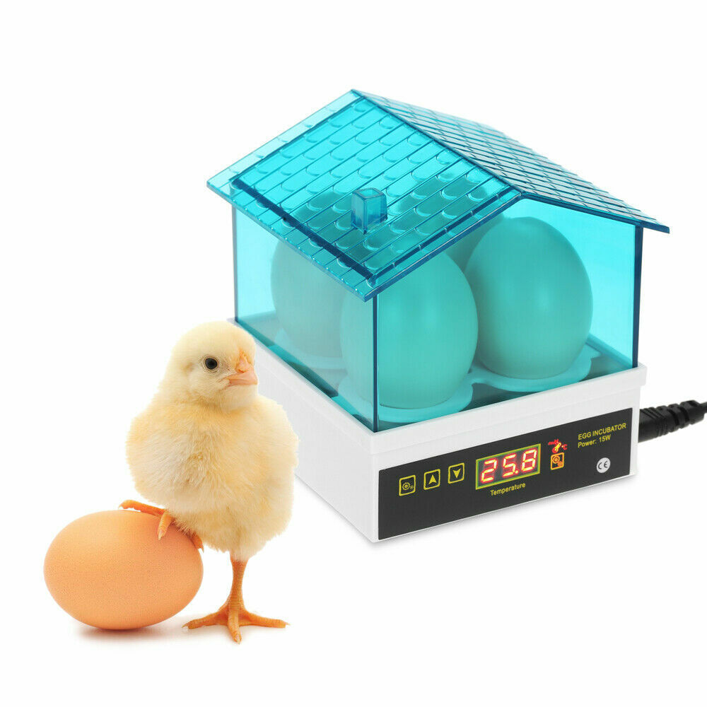 4 egg mini incubator