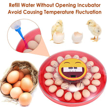 Load image into Gallery viewer, AUTOMATIC 30 EGG INCUBATOR
